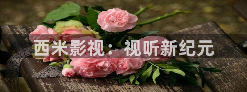 天狼星行动迅播影院免费观看