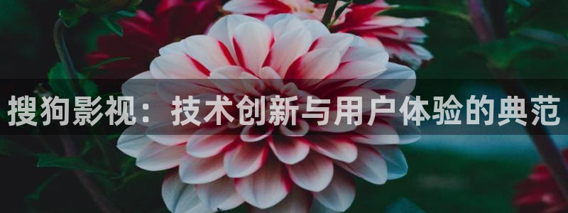 87福利天狼影院