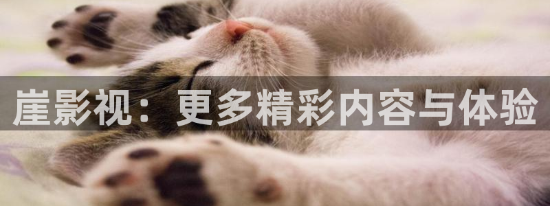 天狼影视剧免费观看