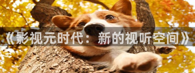 西瓜影院天狼影院